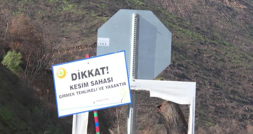 İzmir Büyükşehir ekipleri Ödemiş’te felaketi önledi İzmir Büyükşehir Belediyesi, Ödemiş’te Çamyayla-Horzum yolunda orman yangınlarının ardından kesilen