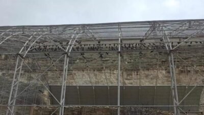 Şanlıurfa'nın Birecik ilçesinde bulunan Kelaynak Üretme İstasyonu’nda 277 kelaynak kafesten alınarak,