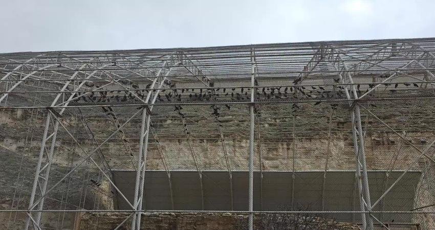 Şanlıurfa'nın Birecik ilçesinde bulunan Kelaynak Üretme İstasyonu’nda 277 kelaynak kafesten alınarak,