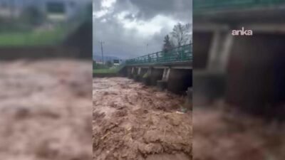 Muğla'nın Köyceğiz ilçesinde dün erken saatlerde başlayan şiddetli yağış, özellikle
