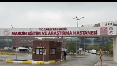 Mardin’in Artuklu ilçesinde 7 Şubat’ta meydana gelen ve iki genç