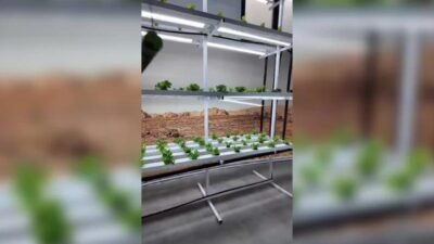 Merkezefendi Belediyesi Nuran Mesut Uzunoğlu Gündüz Bakım Evi öğrencileri, Atatürk