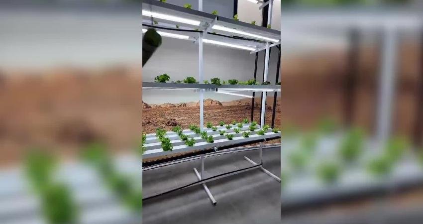 Merkezefendi Belediyesi Nuran Mesut Uzunoğlu Gündüz Bakım Evi öğrencileri, Atatürk