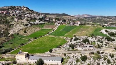 Mersin Büyükşehir Belediyesi Tarımsal Hizmetler Dairesi Başkanlığı tarafından yürütülen "Nergis