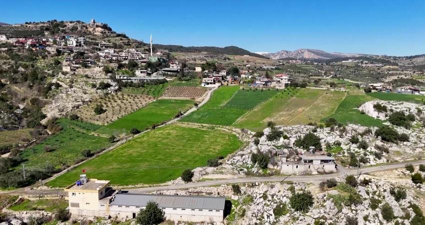 Mersin Büyükşehir Belediyesi’nden “Nergis Soğanı Dağıtım Projesi” ile kırsal kalkınmaya destek Mersin Büyükşehir Belediyesi Tarımsal Hizmetler Dairesi Başkanlığı tarafından yürütülen "Nergis