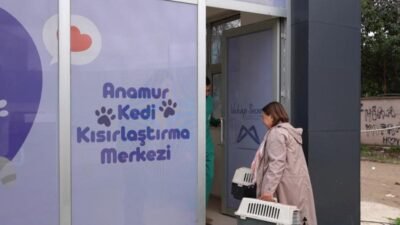 Mersin Büyükşehir Belediyesi, Ocak 2026’da hizmete açtığı Anamur Kedi Kısırlaştırma