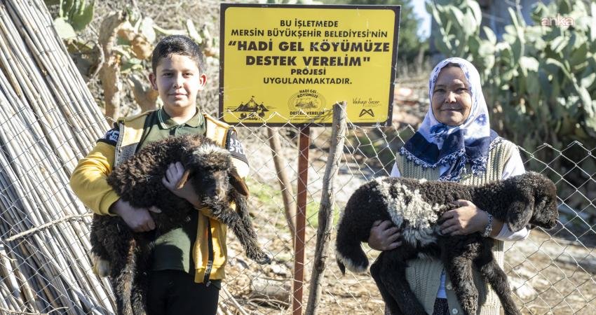 Mersin Büyükşehir Belediyesi’nin “Hadi Gel Köyümüze Destek Verelim” projesinden 7 yılda 360 yetiştirici faydalandı Mersin Büyükşehir Belediyesi Tarımsal Hizmetler Dairesi Başkanlığı tarafından yürütülen “Hadi