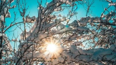 Meteoroloji Genel Müdürlüğü (MGM), ocak ayı 1991-2020 sıcaklık analizine göre, Türkiye'de