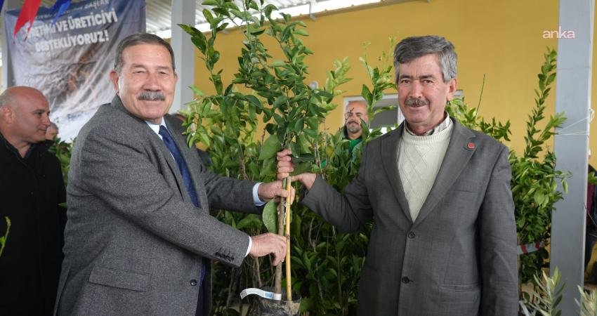 Milas Belediyesi’nden üreticiye yüzde 50 hibeli meyve fidanı desteği Milas Belediyesi, tarımsal ürün çeşitliliğinin artırılması ve sürdürülebilir kırsal kalkınmanın