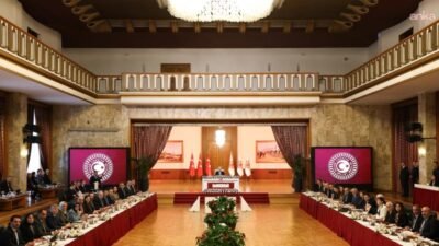 TBMM’de Milli Dayanışma, Kardeşlik ve Demokrasi Komisyonu’nun son toplantısında konuşan