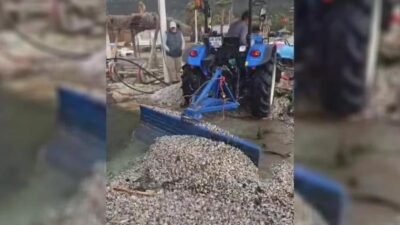 Muğla’da sabah saatlerinde etkili olan fırtına ve sağanak, özellikle kıyı