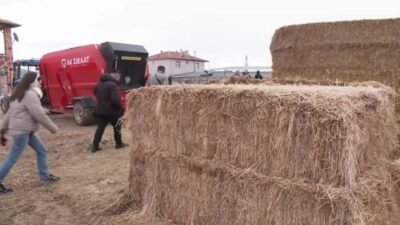 Niğde’nin Bor ilçesinde hayvancılıkla uğraşan Ramazan Uçar, şap hastalığı sonrasında