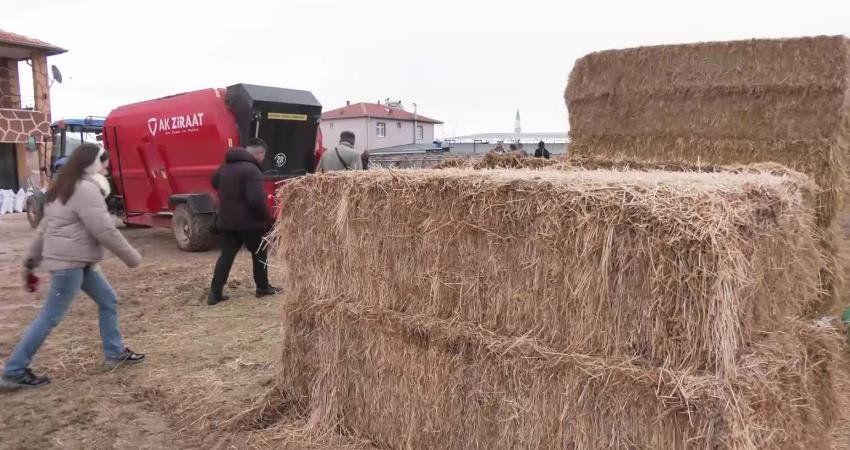 Niğde’nin Bor ilçesinde hayvancılıkla uğraşan Ramazan Uçar, şap hastalığı sonrasında