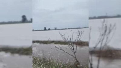 Osmaniye'nin Kadirli ilçesindeki Endel köyünde üç gündür süren sağanak yağışlar,