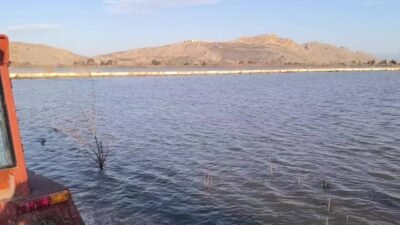 Osmaniye'nin Kadirli ilçesine bağlı Tekeli Köyü'nde depremzedeler için yapılan evleri