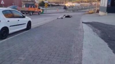 Sinop’ta otomobilin çarptığı bir grup küçük baş hayvan öldü. 