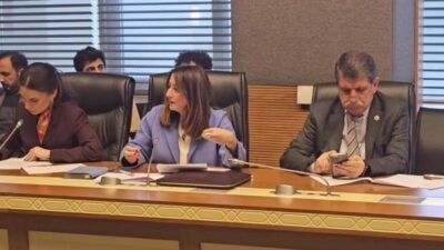 TBMM'de Suça Sürüklenen Çocuklar Komisyonu'nda sunum yapan Doç. Dr. Ozan