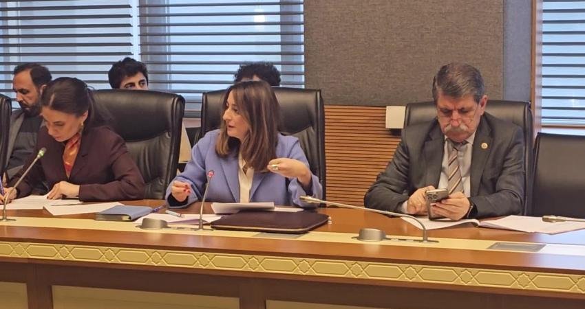 Suça Sürüklenen Çocuklar Komisyonu… CHP’li Bankoğlu’ndan Bakan Gürlek’in “Gerekirse çocuklar cezalarının tamamını yatacak” sözlerine tepki: “Bu komisyona saygısızlık” TBMM'de Suça Sürüklenen Çocuklar Komisyonu'nda sunum yapan Doç. Dr. Ozan