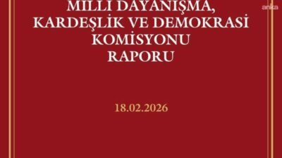 Milli Dayanışma Kardeşlik ve Demokrasi Komisyonu'nda okunarak oylanan ve 47