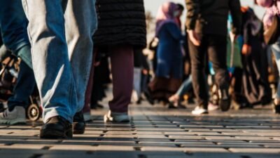 Toplum Çalışmaları Enstitüsü (TÇE) Araştırma ve Veri Analizi Programı Direktörlüğü,