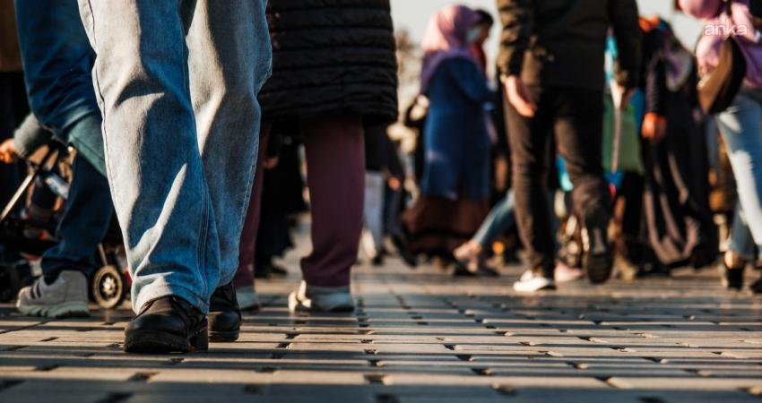 Toplum Çalışmaları Enstitüsü (TÇE) Araştırma ve Veri Analizi Programı Direktörlüğü,