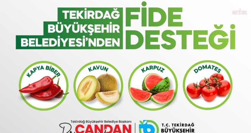 Tekirdağ Büyükşehir Belediyesi’nden sebze üreticilerine destek Tekirdağ Büyükşehir Belediyesi tarafından tarımsal üretimin güçlendirilmesi ve üreticilerin desteklenmesi