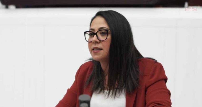 Türkiye İşçi Partisi İstanbul Milletvekili ve Parti Sözcüsü Sera Kadıgil, İstanbul