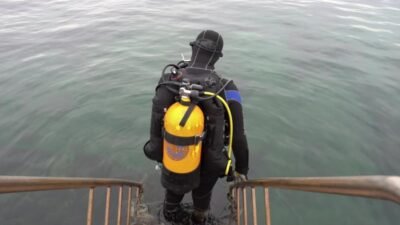 Akdeniz’de sayıları giderek azalan pina ve deniz çayırlarının Tuzla kıyılarında