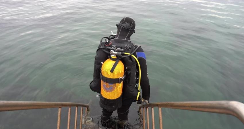 Akdeniz’de sayıları giderek azalan pina ve deniz çayırlarının Tuzla kıyılarında