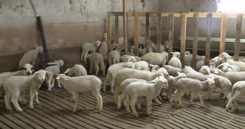 Ankara Büyükşehir Belediyesi (ABB), kırsal kalkınmayı desteklemek amacıyla Türkiye’de bir