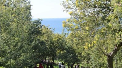 Üç gün boyunca dört adada düzenlenen Adalar Mimoza Festivali’nde kadın