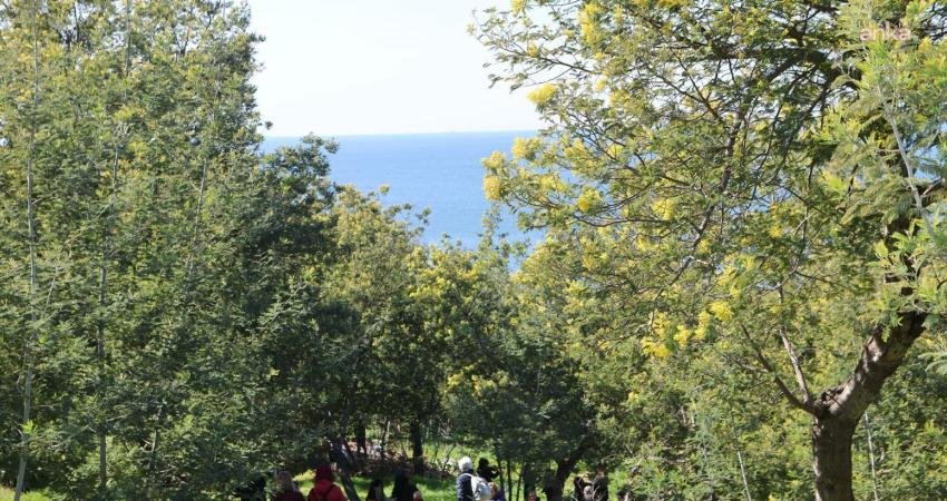 Üç gün boyunca dört adada düzenlenen Adalar Mimoza Festivali’nde kadın
