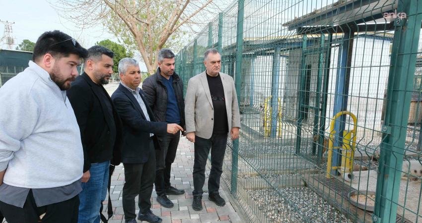 Adana Büyükşehir Belediyesi Hayvan Bakımevi’nde incelemelerde bulunan Adana Veteriner Hekimler