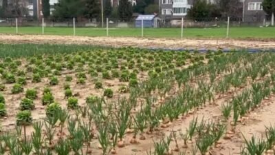 Adıyaman Belediyesi ile Adıpayam Kadın Kooperatifi iş birliğinde hayata geçirilen