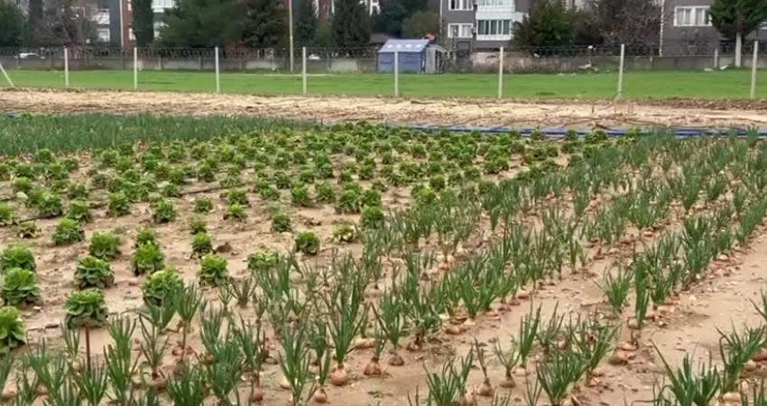Adıyaman Belediyesi ile Adıpayam Kadın Kooperatifi iş birliğinde hayata geçirilen