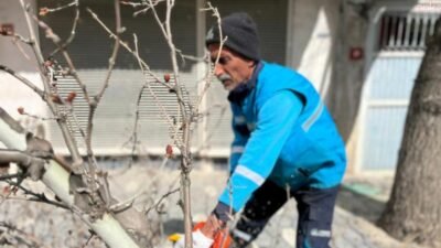 Adıyaman Belediyesi Park ve Bahçeler Müdürlüğü ekipleri, baharın gelmesiyle kent