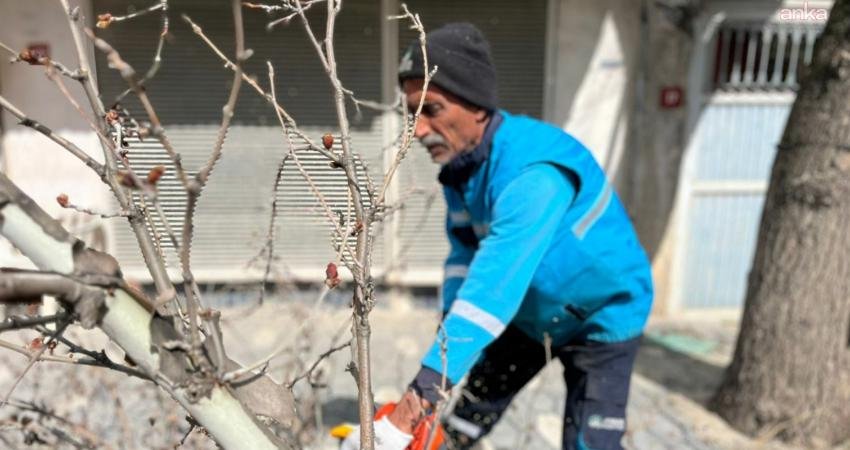 Adıyaman Belediyesi Park ve Bahçeler Müdürlüğü ekipleri, baharın gelmesiyle kent