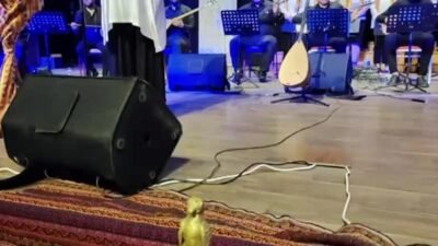 Adıyaman Belediyesi, 8 Mart Dünya Emekçi Kadınlar Günü kapsamında bir