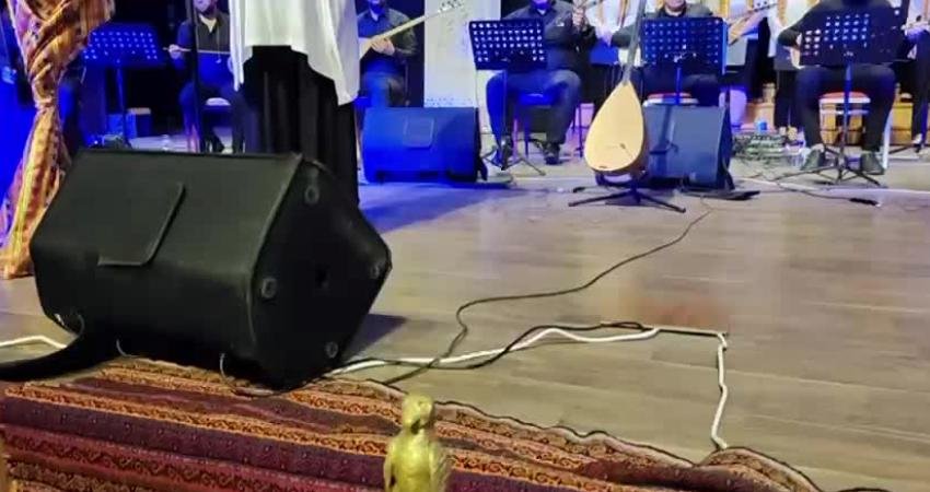 Adıyaman Belediyesi, 8 Mart Dünya Emekçi Kadınlar Günü kapsamında bir