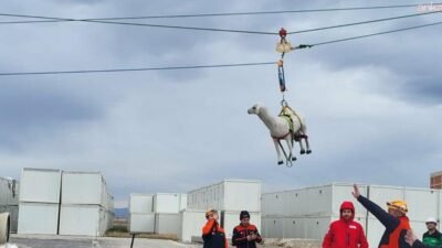 Afet ve Acil Durum Yönetimi Başkanlığı (AFAD) koordinasyonunda, Türkiye ile