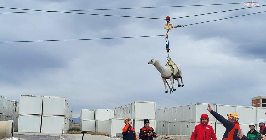 AFAD’dan afetlerde hayvanların korunmasına yönelik uluslararası proje Afet ve Acil Durum Yönetimi Başkanlığı (AFAD) koordinasyonunda, Türkiye ile