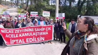Muğla’nın Milas ilçesi sınırlarında bulunan Akbelen Ormanı’nın çevresinde 6 mahallede