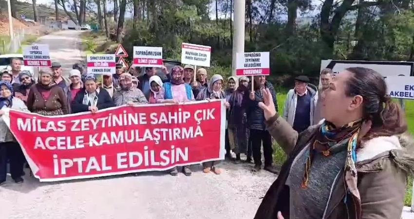 Akbelen’de yeni gelişme… Tapu sahibine haber verilmeden bilirkişi keşfi başladı Muğla’nın Milas ilçesi sınırlarında bulunan Akbelen Ormanı’nın çevresinde 6 mahallede