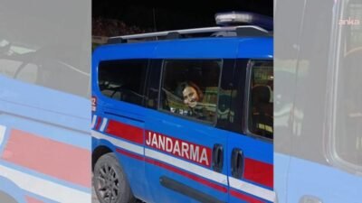 Muğla’nın Milas ilçesinde Akbelen Ormanı çevresindeki tarım arazilerinin acele kamulaştırılmasına