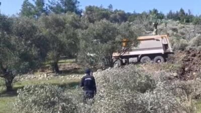 Akbelen Ormanı’nın ardından bu kez Çamköy Mahallesi Kuyucak mevkisinde zeytin