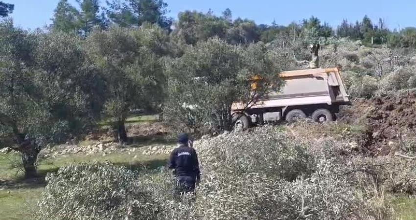 Akbelen Ormanı’nın ardından bu kez Çamköy Mahallesi Kuyucak mevkisinde zeytin