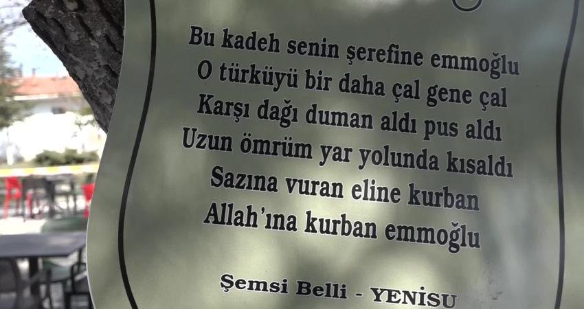 Türkü diyarı Arguvan’da, Hurşit Eren Parkı içinde bulunan ağaçlara Arguvanlı