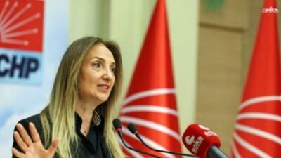 CHP Aile ve Sosyal Hizmetler Politika Kurulu Başkanı Aylin Nazlıaka,