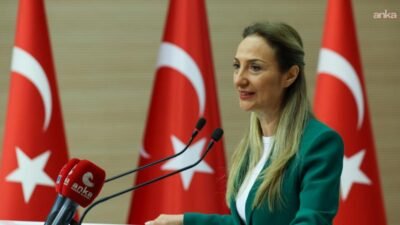 CHP'nin Aile ve Sosyal Hizmetler Politika Kurulu Başkanı Aylin Nazlıaka,