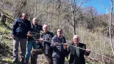 Samsun Ayvacık Ziraat Odası, İhracatçılar Birliği’nin 829 bin tonluk fındık